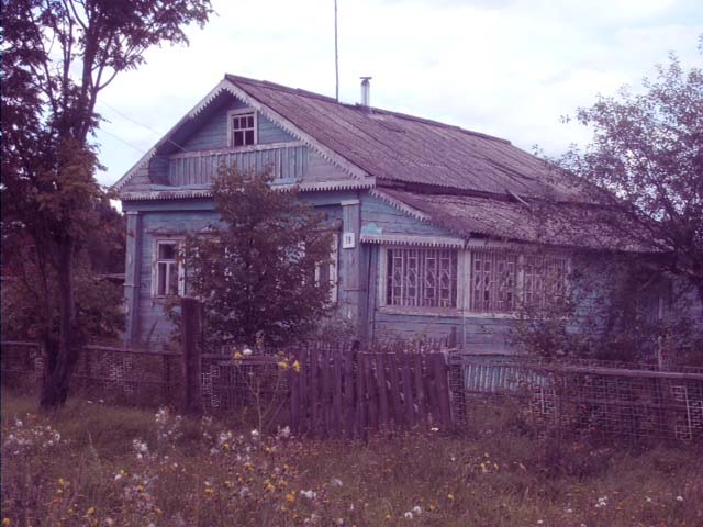 дом в селе Закубежье